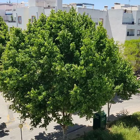 Penthouse Apt With Seaviews And Jacuzzi Διαμέρισμα